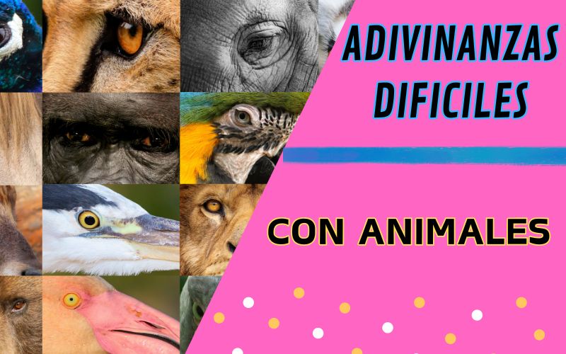 Adivinanzas Difíciles con Animales