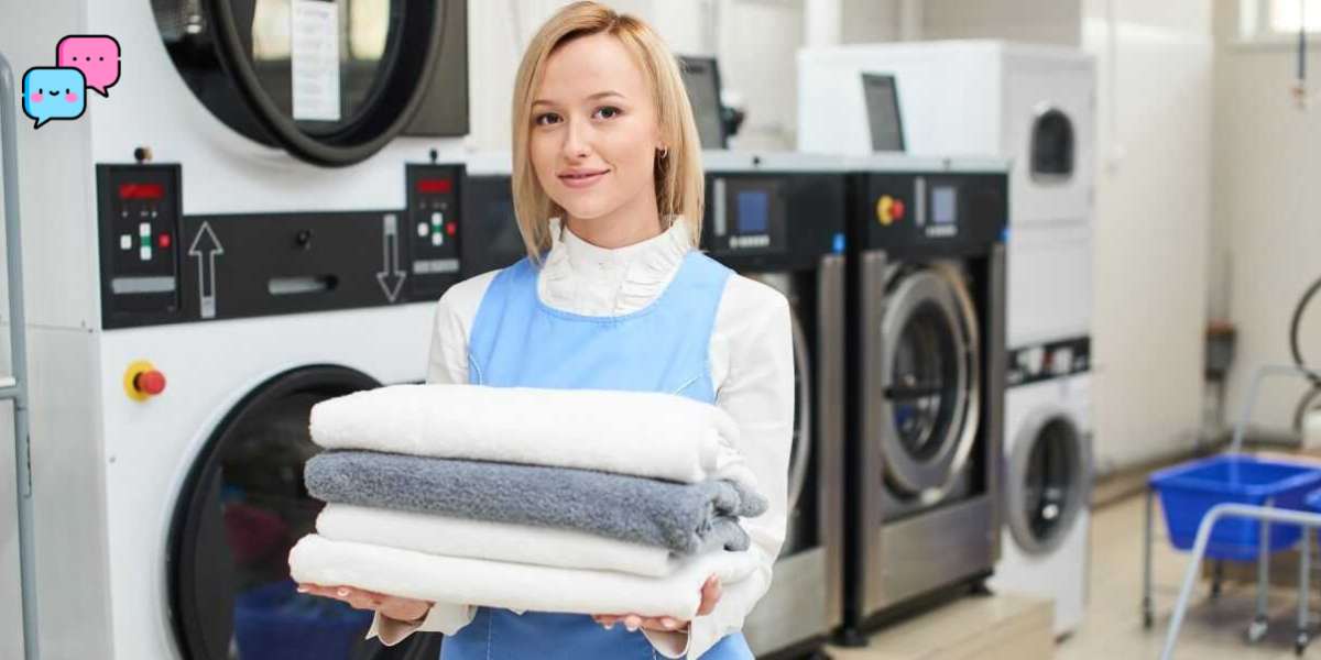 USA Laundry Facilities and Dry Cleaning Services Market Demand 2033