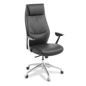 Ergonomic Chairs NZ | Buy Ergonomic Office Chairs Online