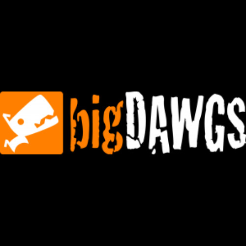 BIGDAWGS PROMO Profile Picture